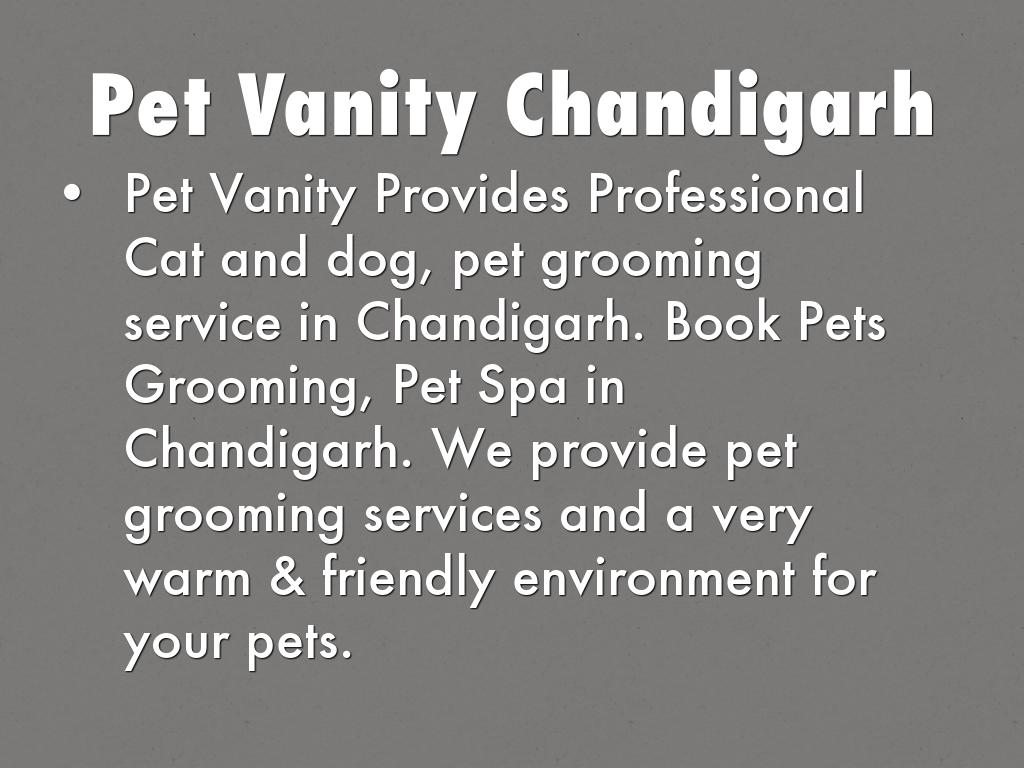 Pet Vanity Chandigarh