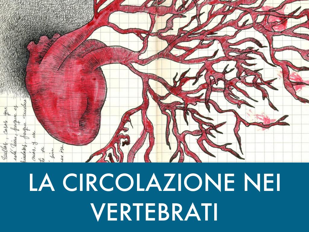 Copia di Trasporto e Difese Immunitarie