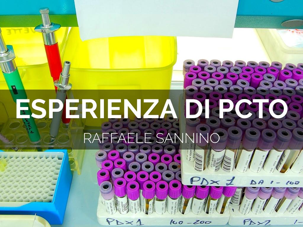 Copia di The Future of Testing