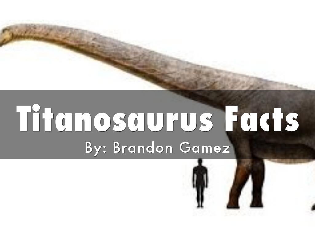 Titanosaurs