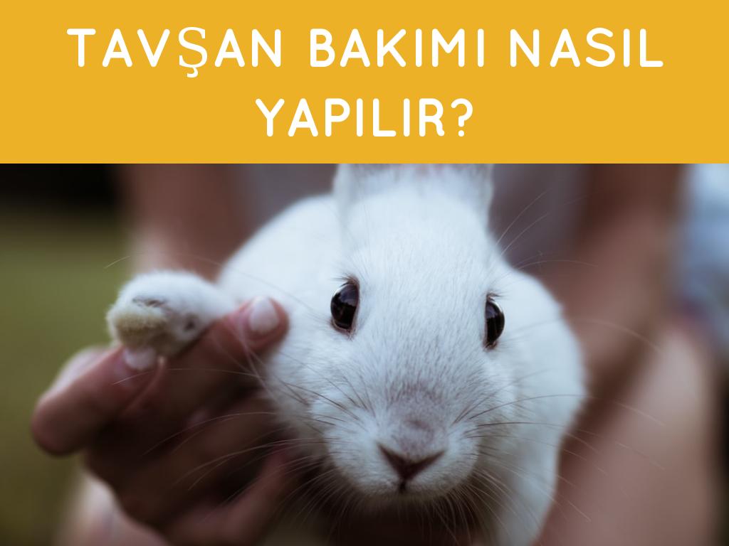 1. TULET EĞİTİMİ