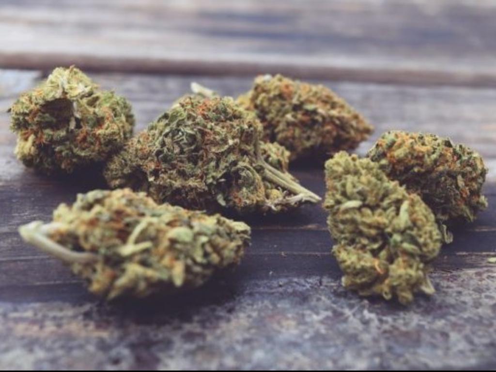 3 Cannabis Strains You Need to Try