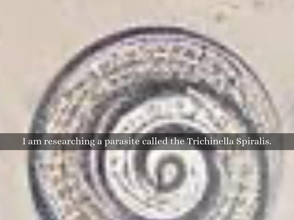 The Trichinella Spiralis