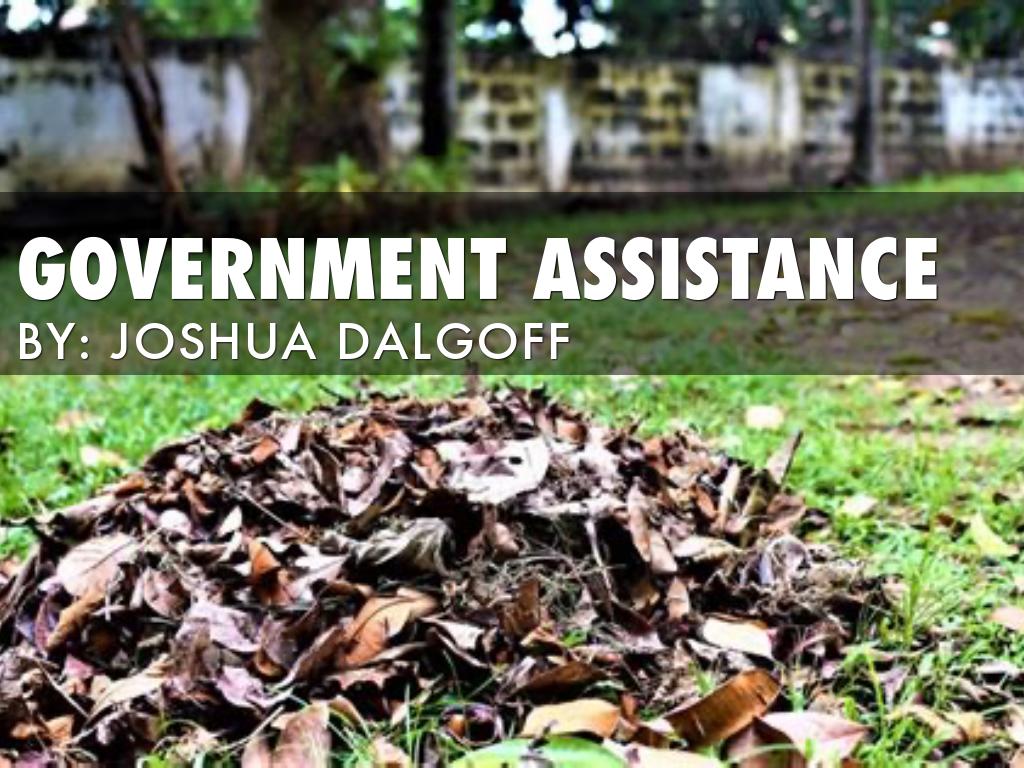 Government assistance 