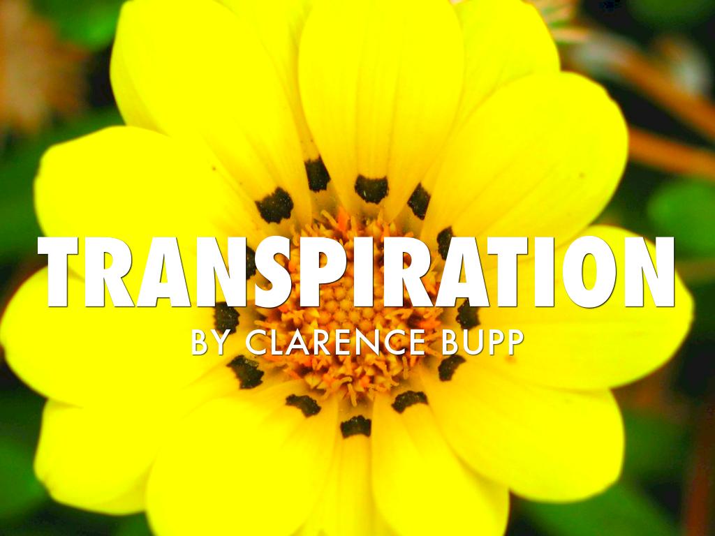 Transpiration