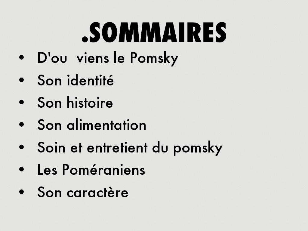 Les POMSKY 🐕