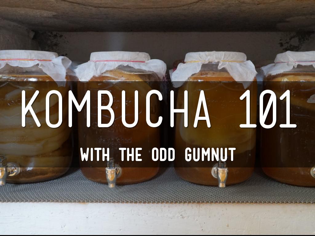 KOMBUCHA 101