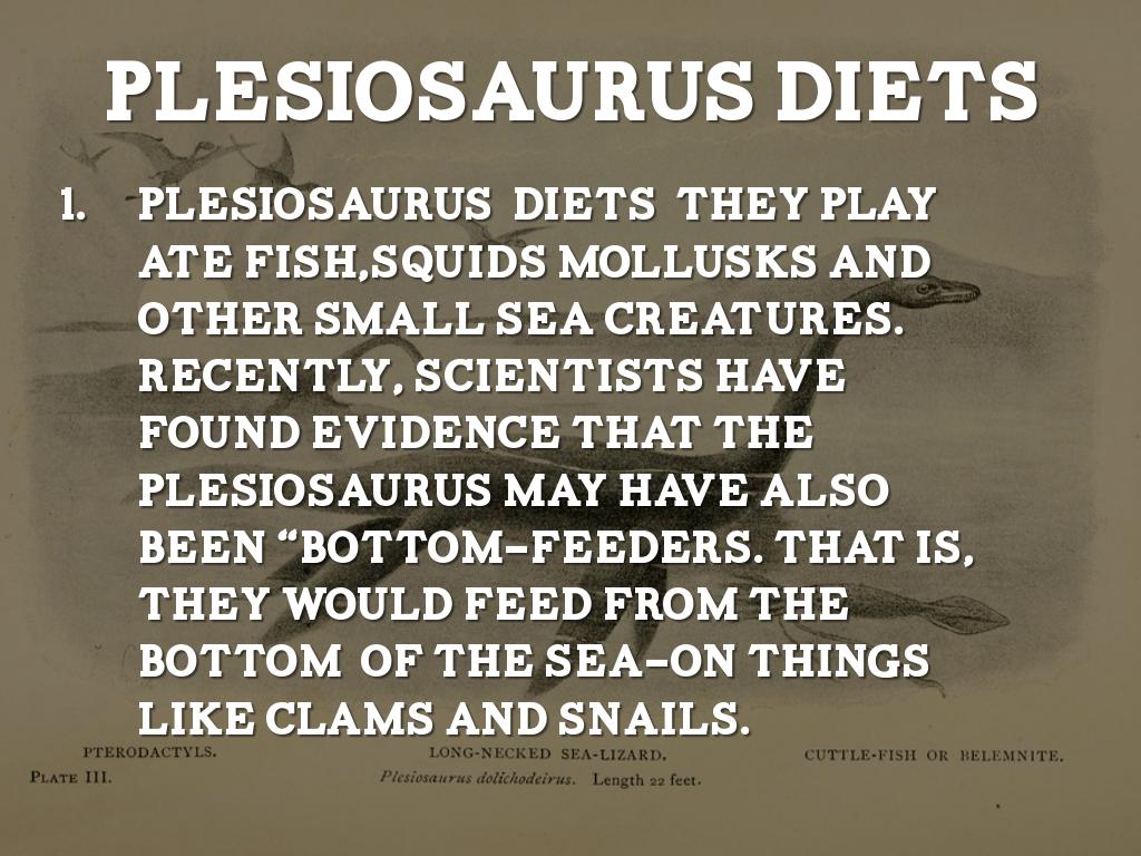 Research About Plesiosaurus