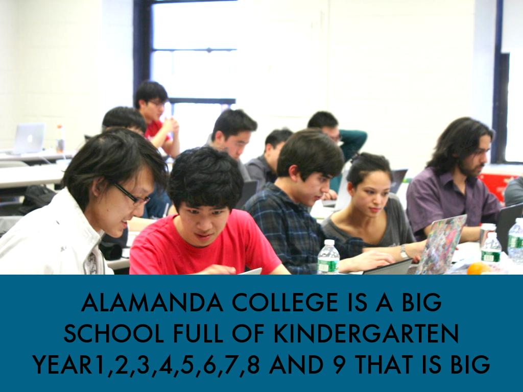 What Is Alamanda College?
