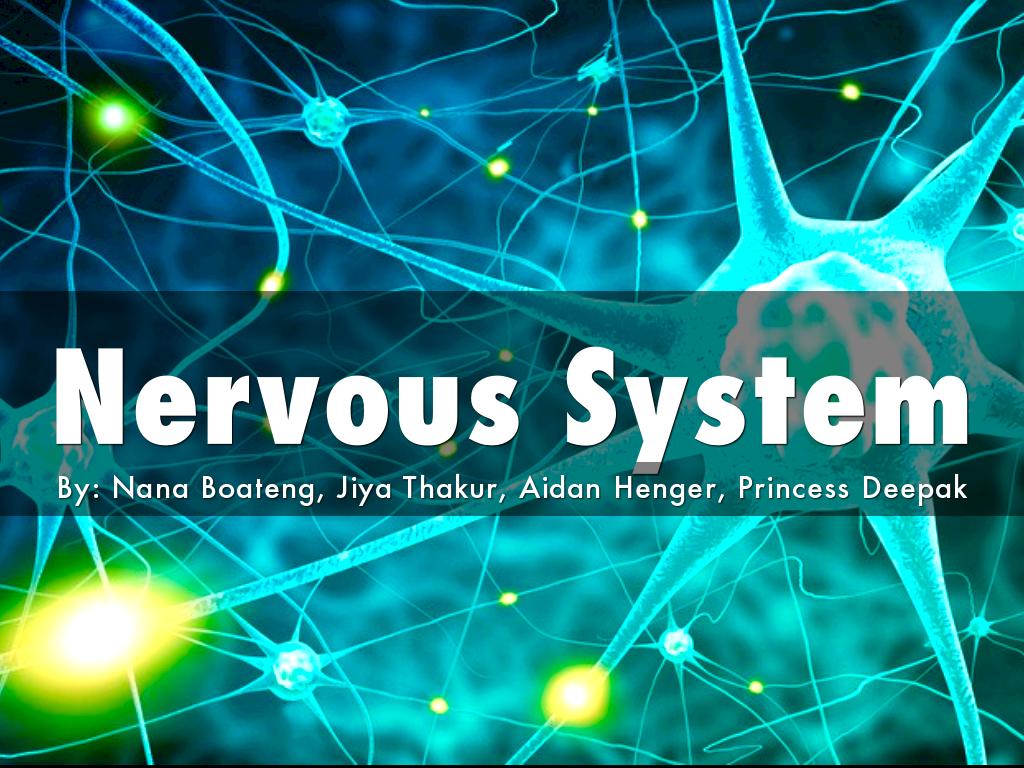 Nervous System