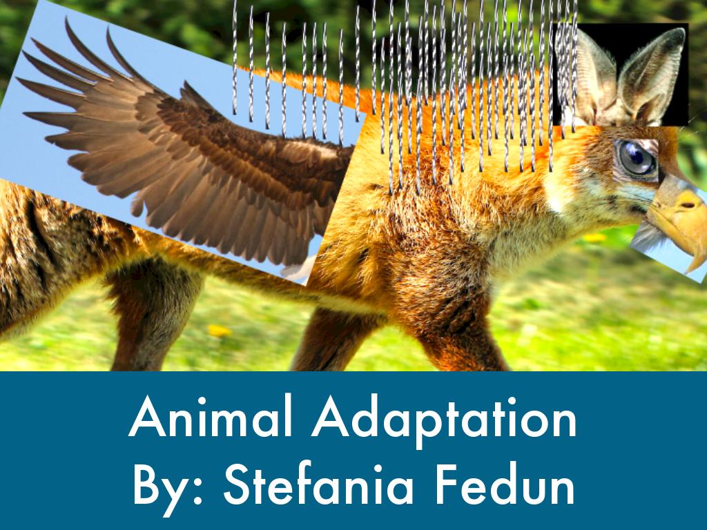 Final Animal Adaptation 