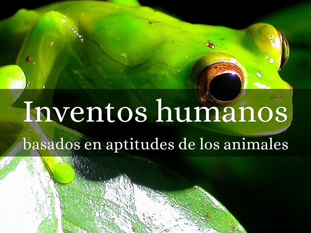 Inventos humanos
