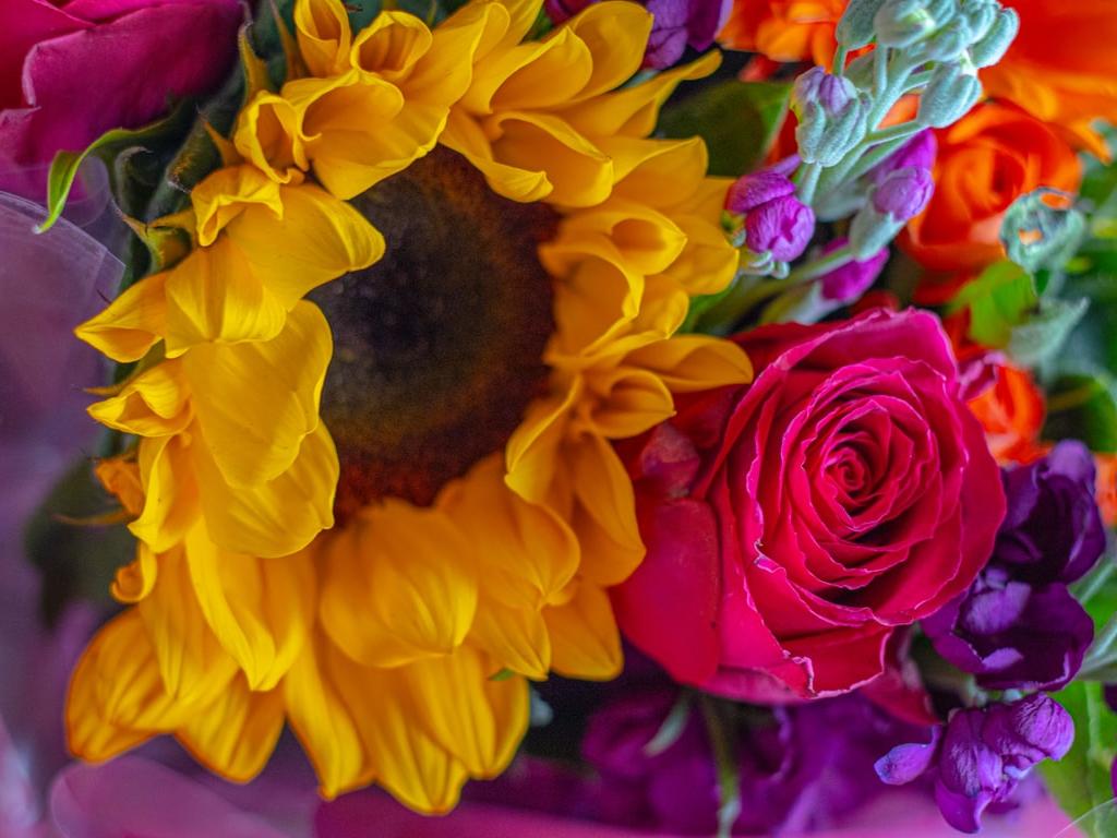Roses & Sunflower Bouquet by Zhanna Preston