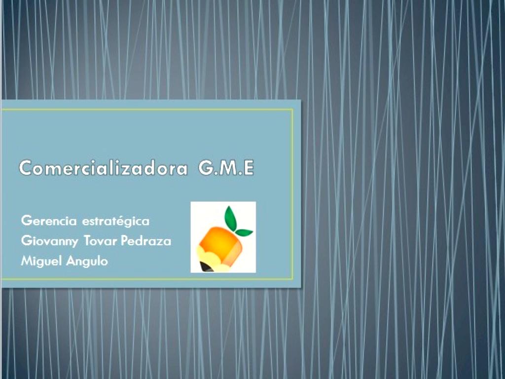 COMERCIALIZADORA G.M.E