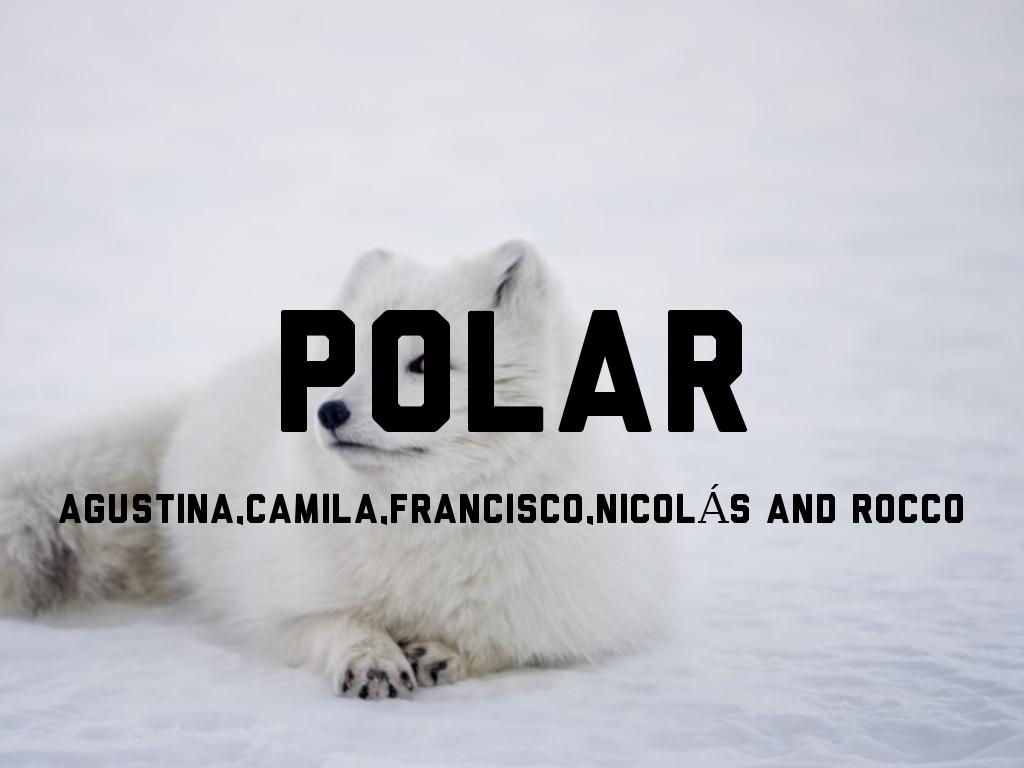 Copia de Polar 3rd N - ACNFR.