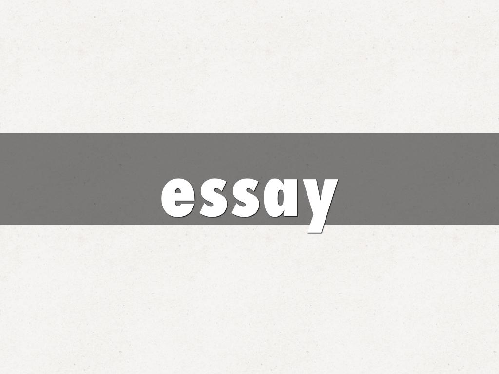 essay