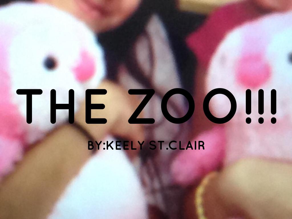 The Zoo