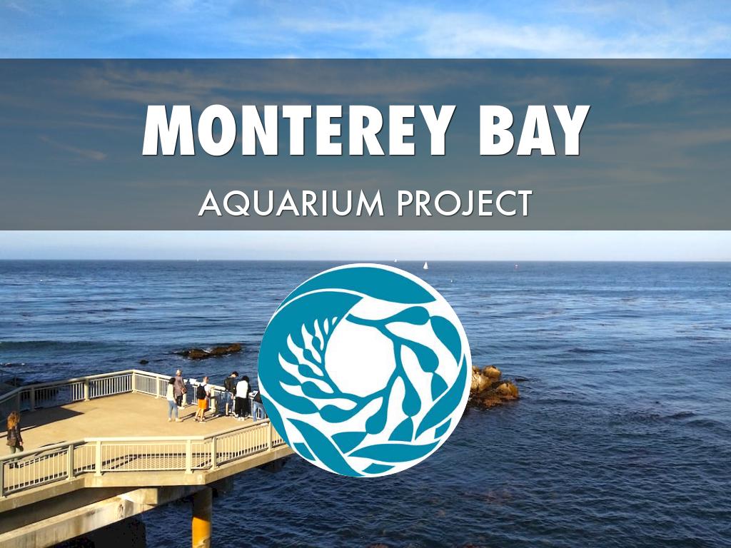 Monterey  Bay Animal Project