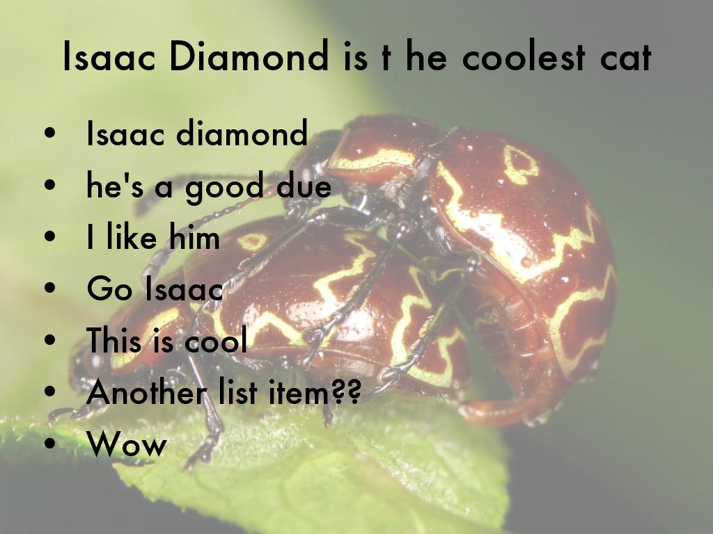 Isaac Diamond is t he coolest cat