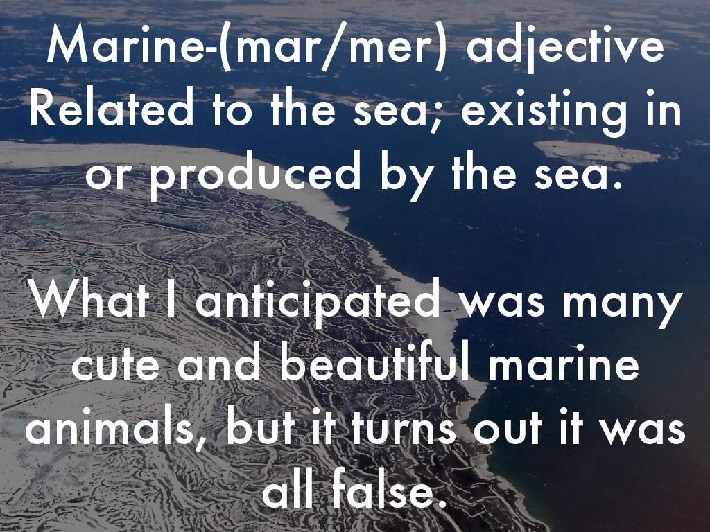 Morphology Unit 9 by Ryan Park