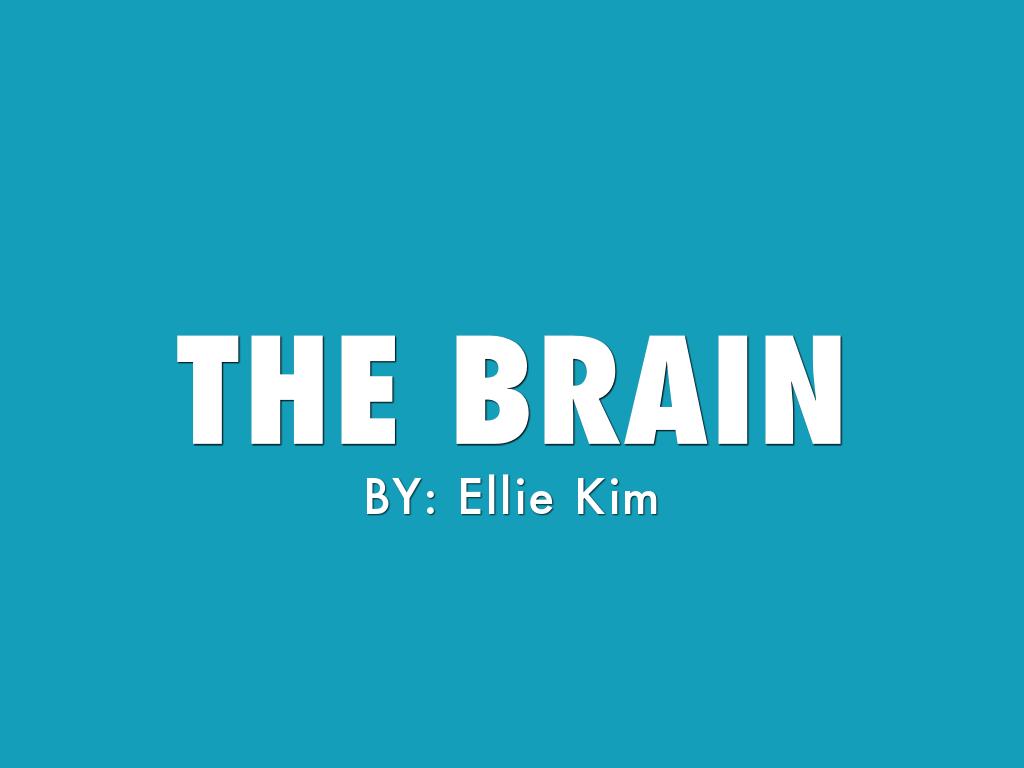 The Brain