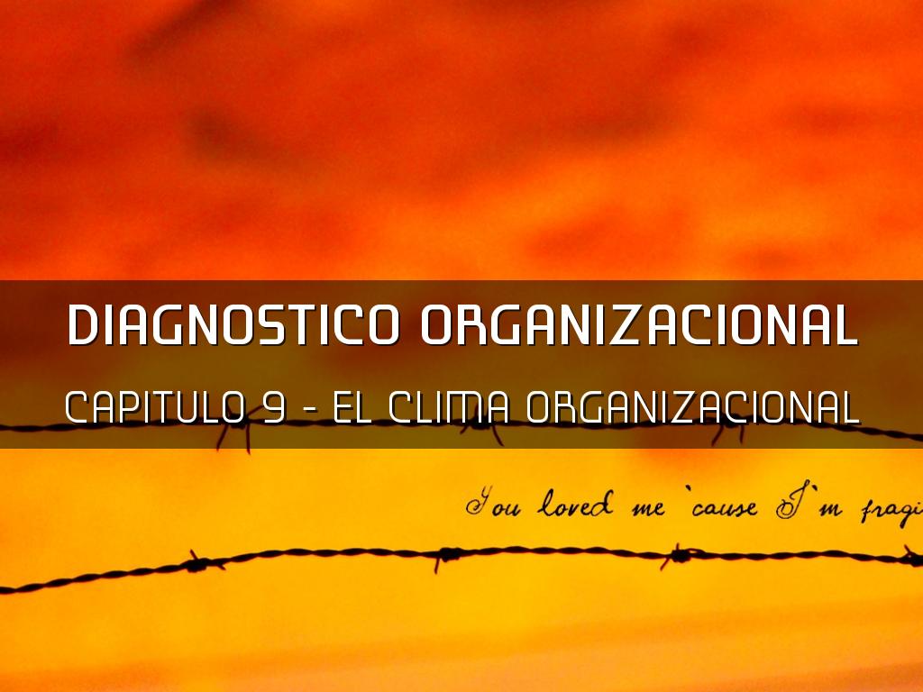 diagnostico organizacional
