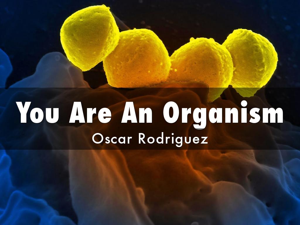 You Are An Organism