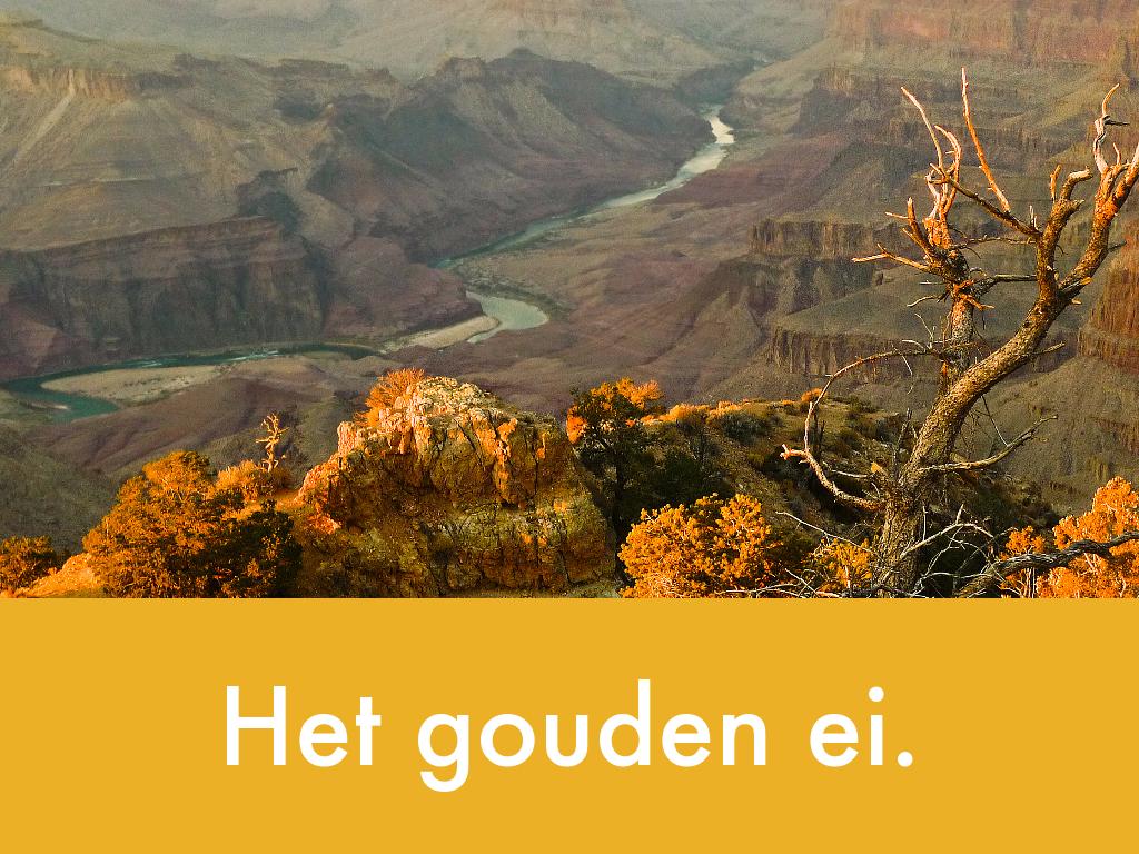 Het gouden ei by Lynn Hoekstra