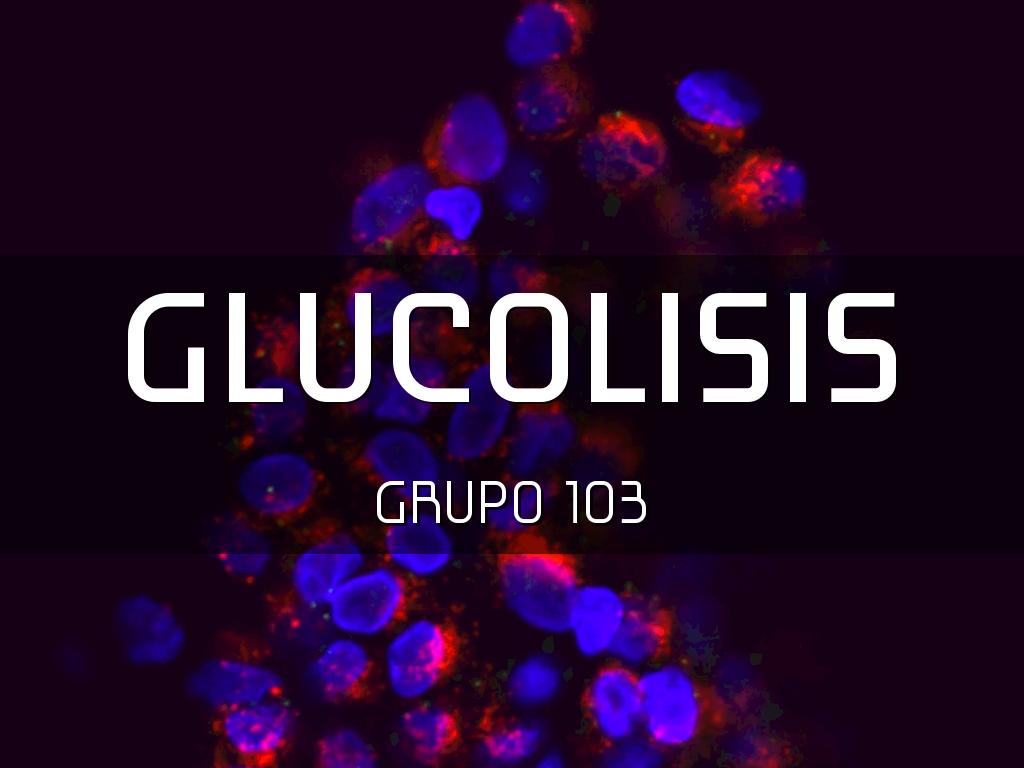 GLUCOLISIS