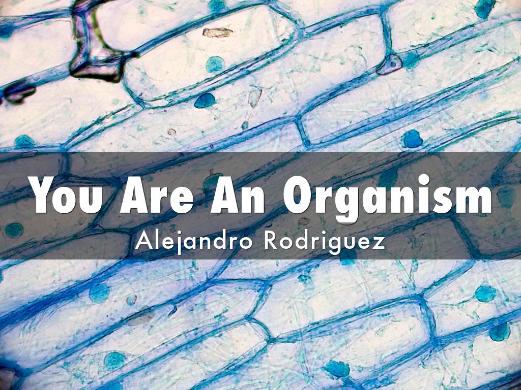 You Are An Organism