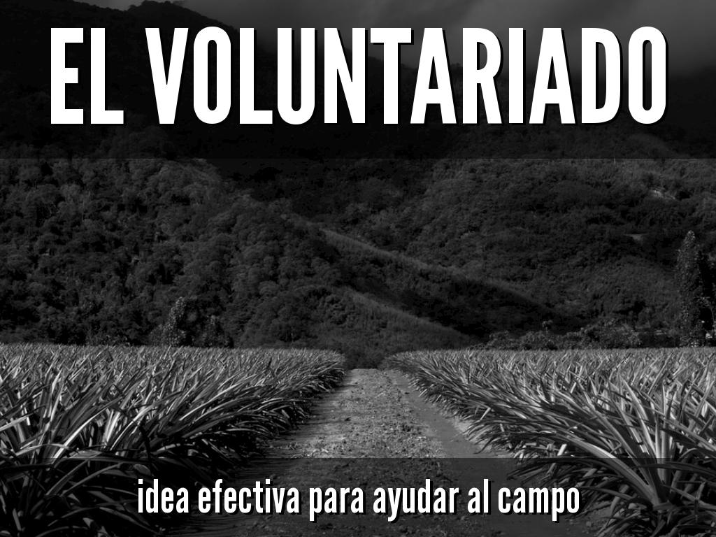 El voluntariado