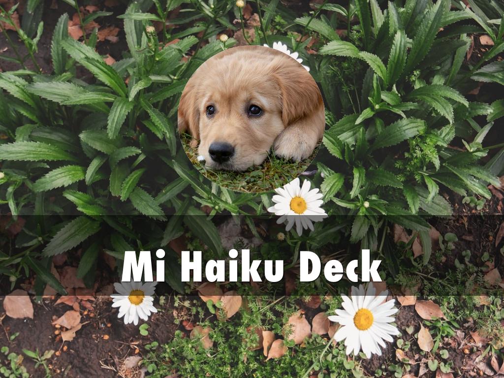 MI haiku deck