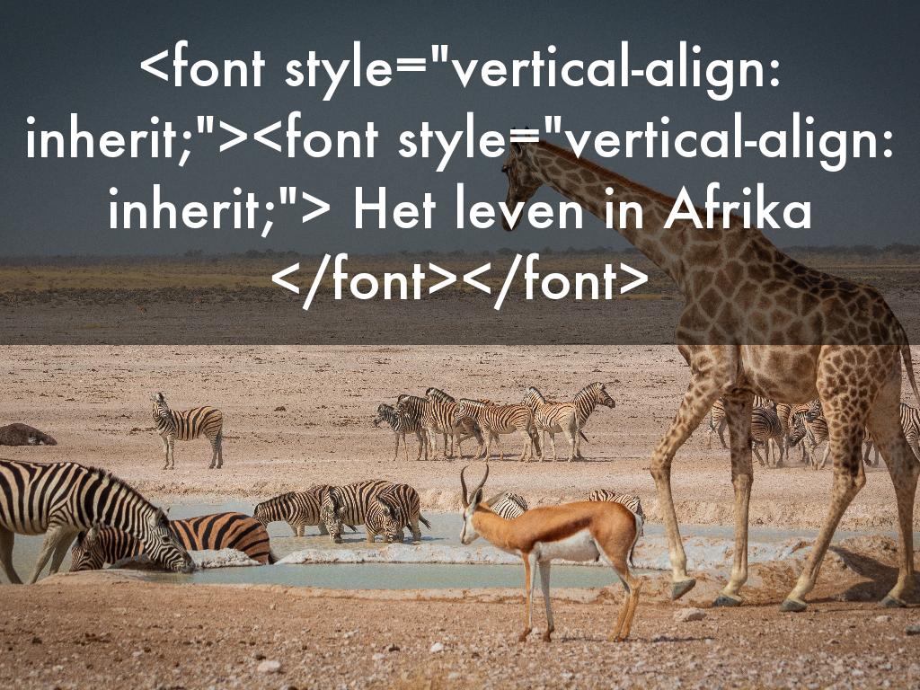 <font style="vertical-align: inherit;"><font style="vertical-align: inherit;"> Het leven in Afrika </font></font>