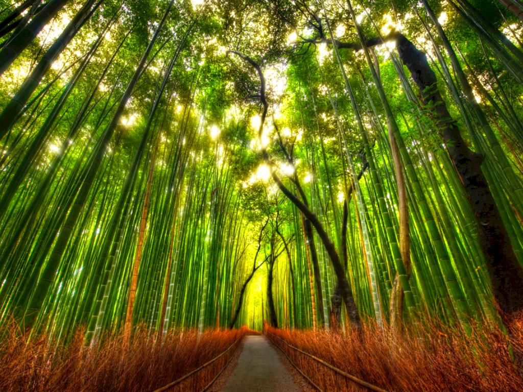 Anger Managment For Peace