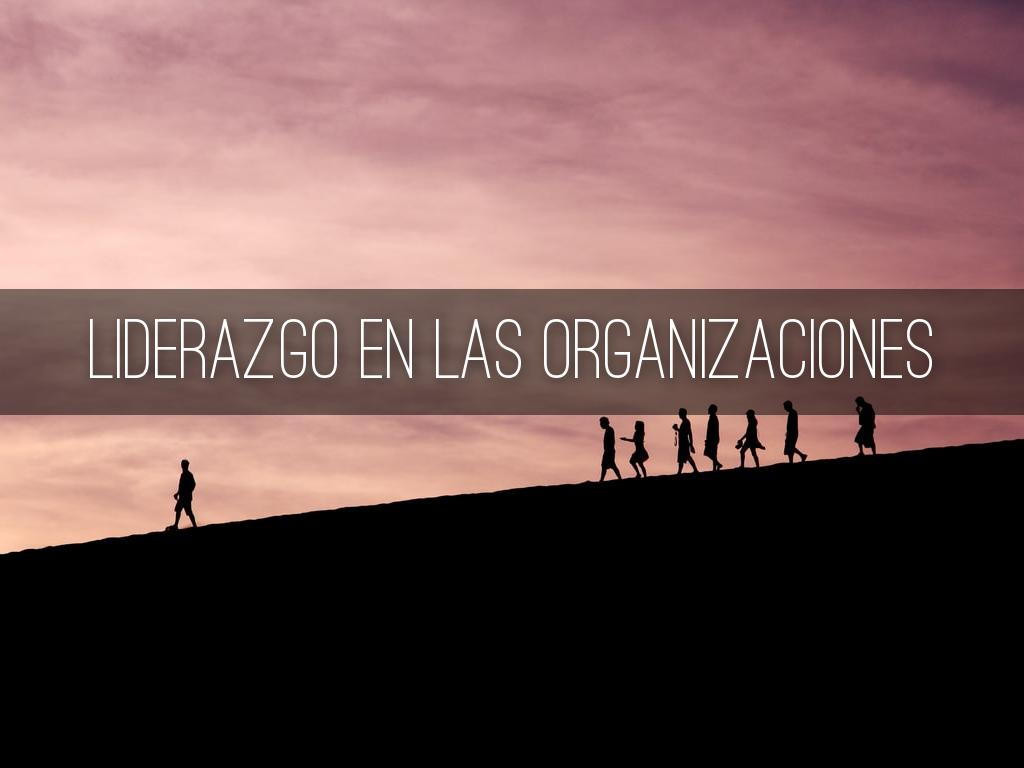 Liderazgo en las Organizaciones