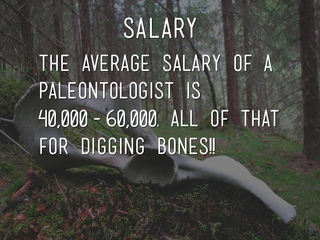 paleontology-by-wyatt-heier