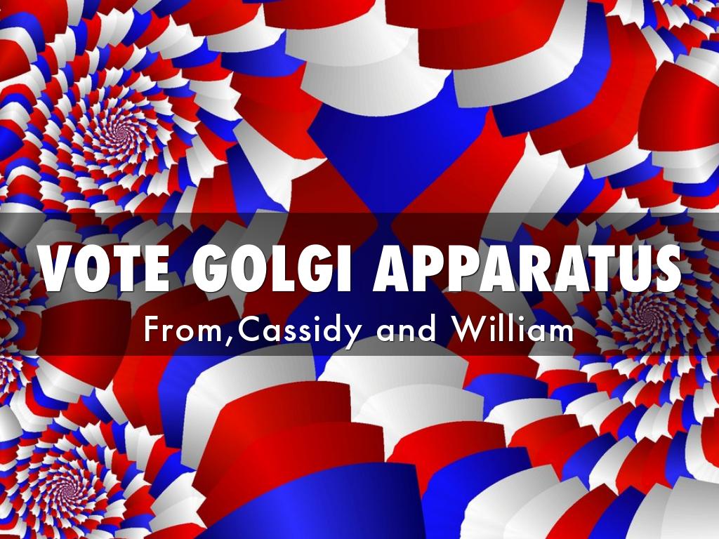 VOTE GOLGI APPARATUS