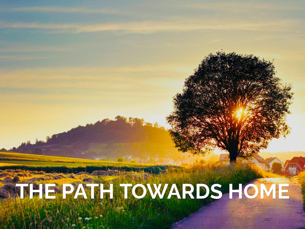 Curse Of The Spider King