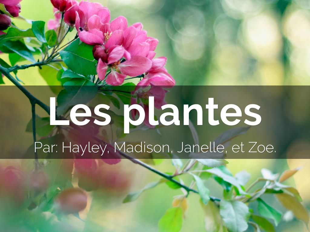 Les plantes