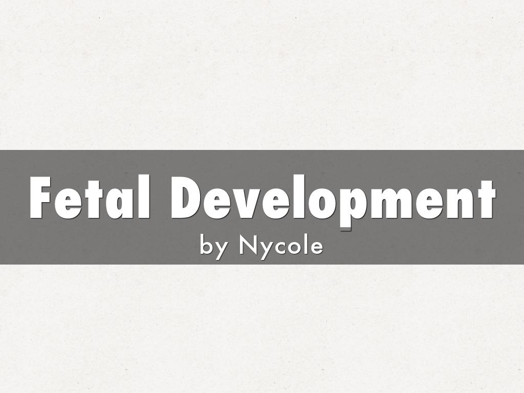 Fetal Development