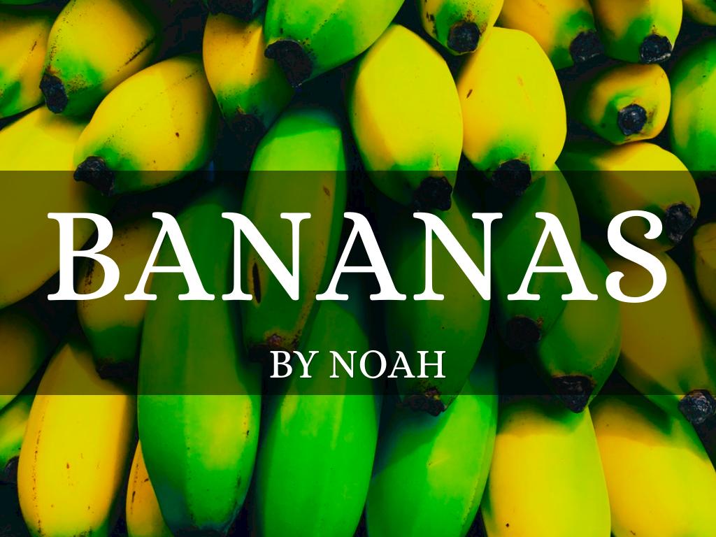 Bananas