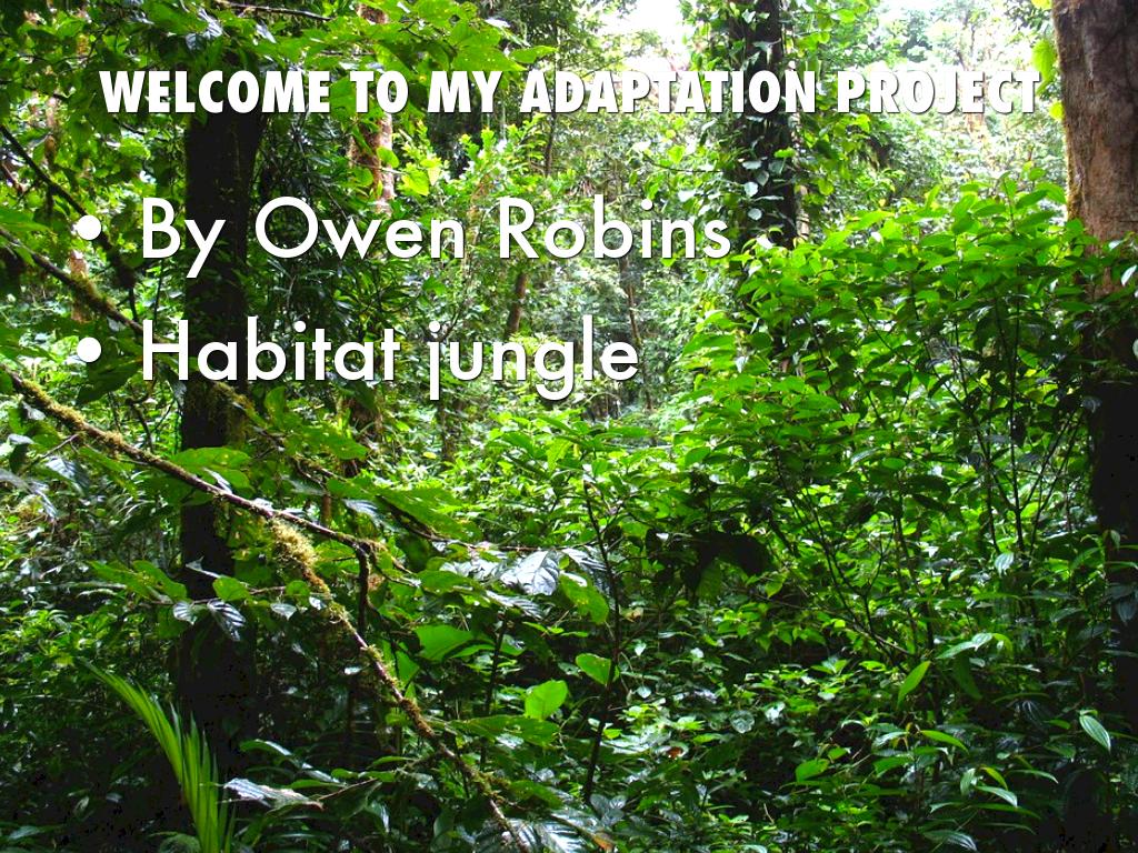 Action Project Signs