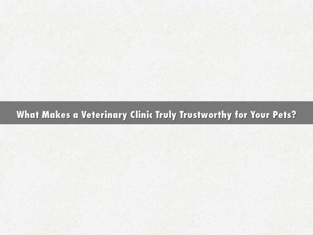 What Makes a Veterinary Clinic Truly Trustworthy for Your Pets?