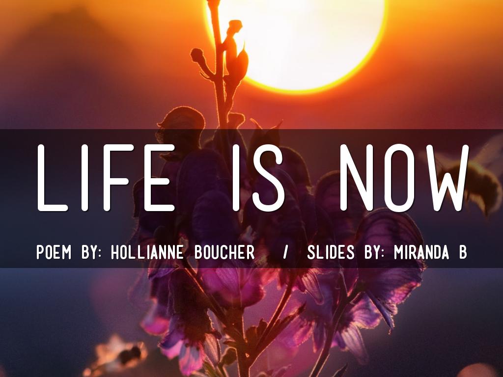 Life is Now