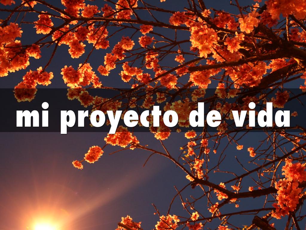 mi proyecto de vida