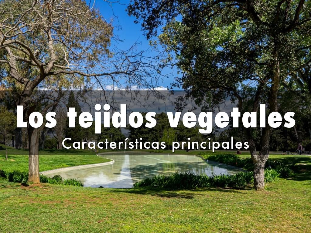 Los tejidos vegetales