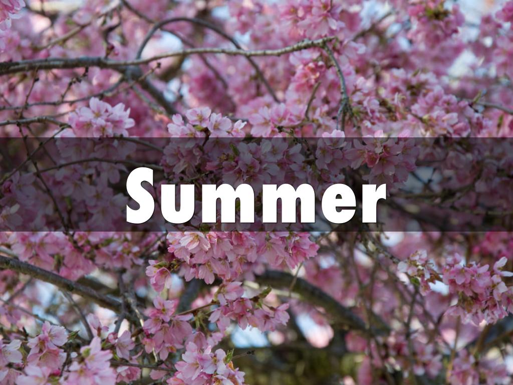 Summer