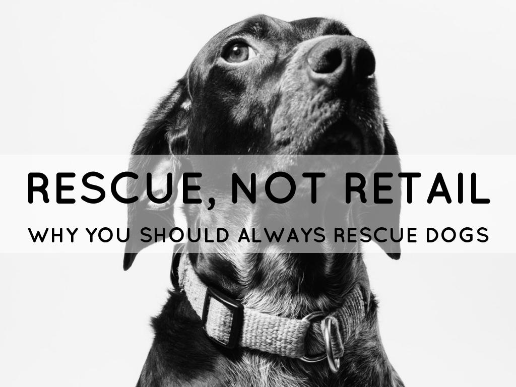 Rescue , Not Retail