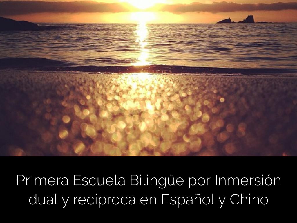Escuela Bilingüe Argentino-China 2019