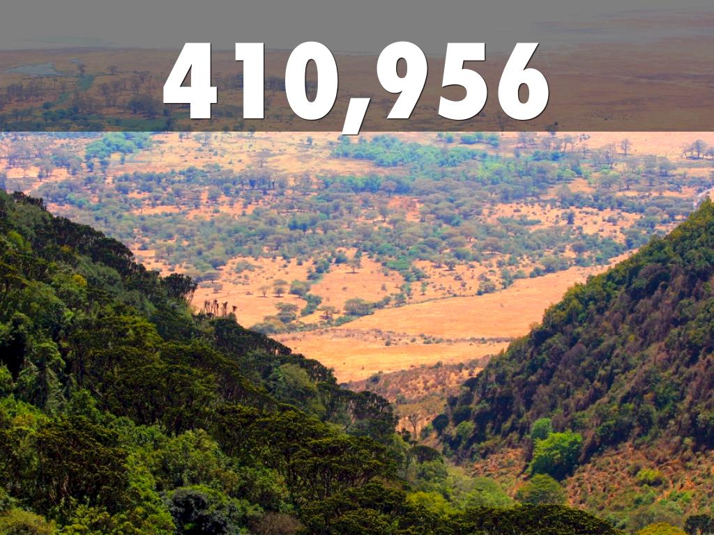 Tanzania And Charlotte